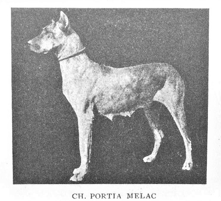 Portia Melac